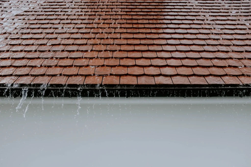 roof and gutter maintenance. roof leak points around flashing and gutters.
